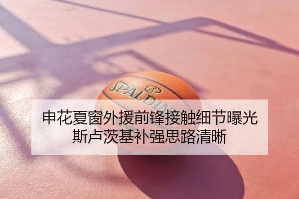 申花夏窗外援前锋接触细节曝光 斯卢茨基补强思路清晰