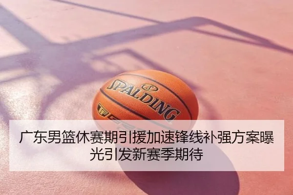 广东男篮休赛期引援加速锋线补强方案曝光引发新赛季期待