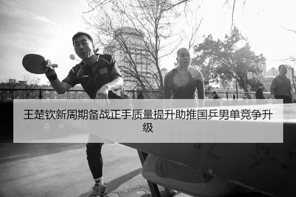 王楚钦新周期备战正手质量提升助推国乒男单竞争升级