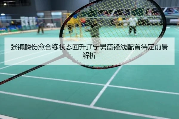 张镇麟伤愈合练状态回升辽宁男篮锋线配置待定前景解析